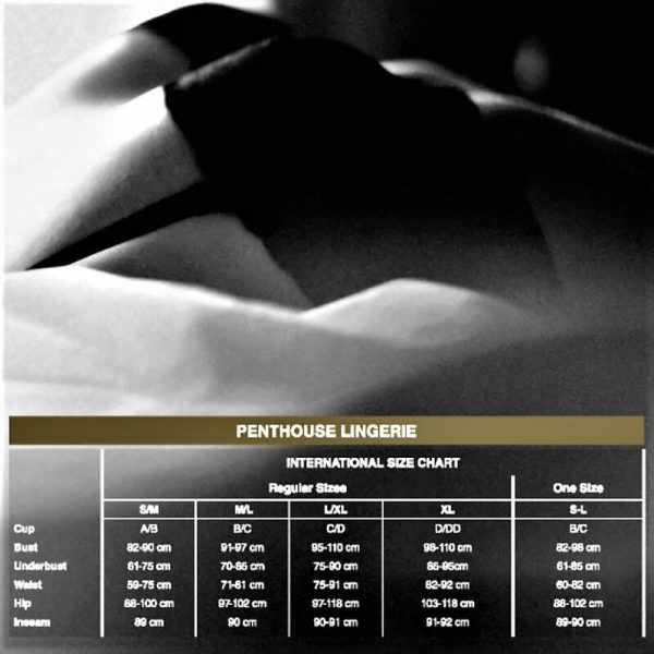 PENTHOUSE - CATCH ME PANTIES BLACK L/XL 4